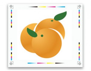 imagen de ejemplo www.naranjas.com