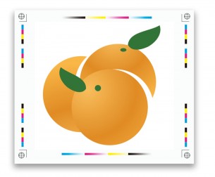 diseño imagen corporativa naranjas.com